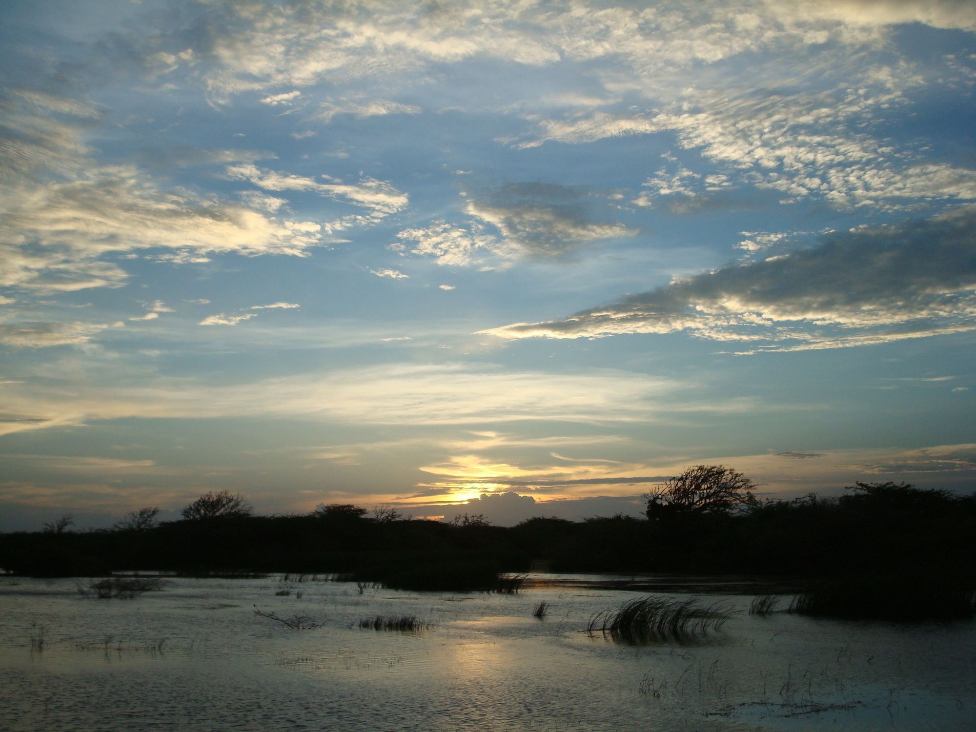 Mahoora Tented Safari Camp Bundala Hambantota Exterior photo